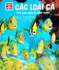  Thế Nào Và Tại Sao - Các Loài Cá - Thế Giới Diệu Kì Dưới Nước (Bìa Cứng) 