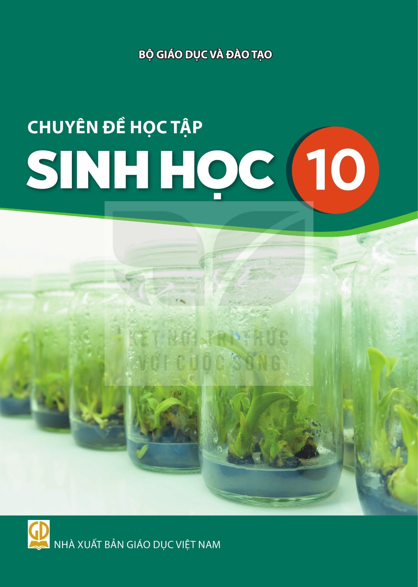  CHUYÊN ĐỀ HT SINH HỌC 10 ( Kết Nối Tri Thức ) 