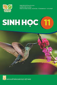  SINH HỌC 11 ( KNTT ) 