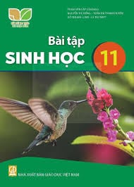  BÀI TẬP SINH HỌC 11 ( KNTT ) 