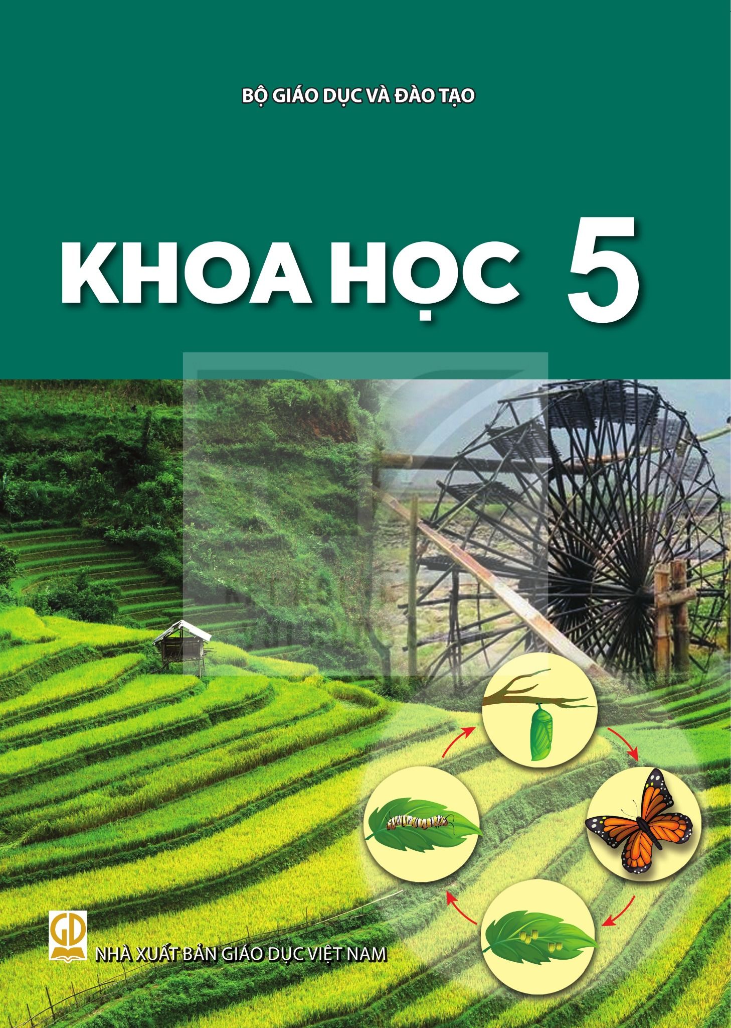  KHOA HỌC 5 ( Kết nối tri thức ) 