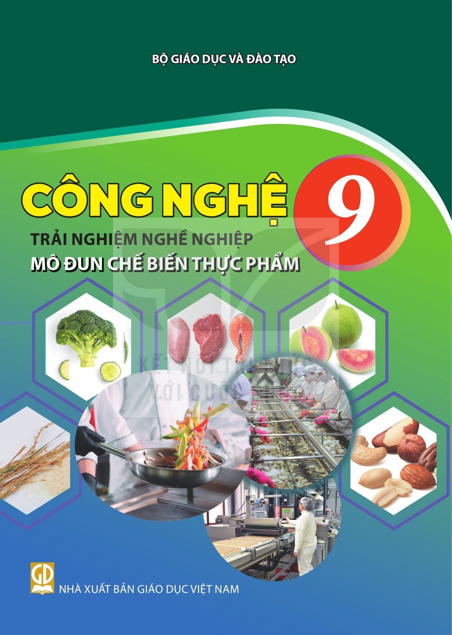  CÔNG NGHỆ 9 - TRẢI NGHIỆM NGHỀ NGHIỆP- MÔ ĐUN CHẾ BIẾN THỰC PHẨM ( Kết Nối Tri Thức ) 