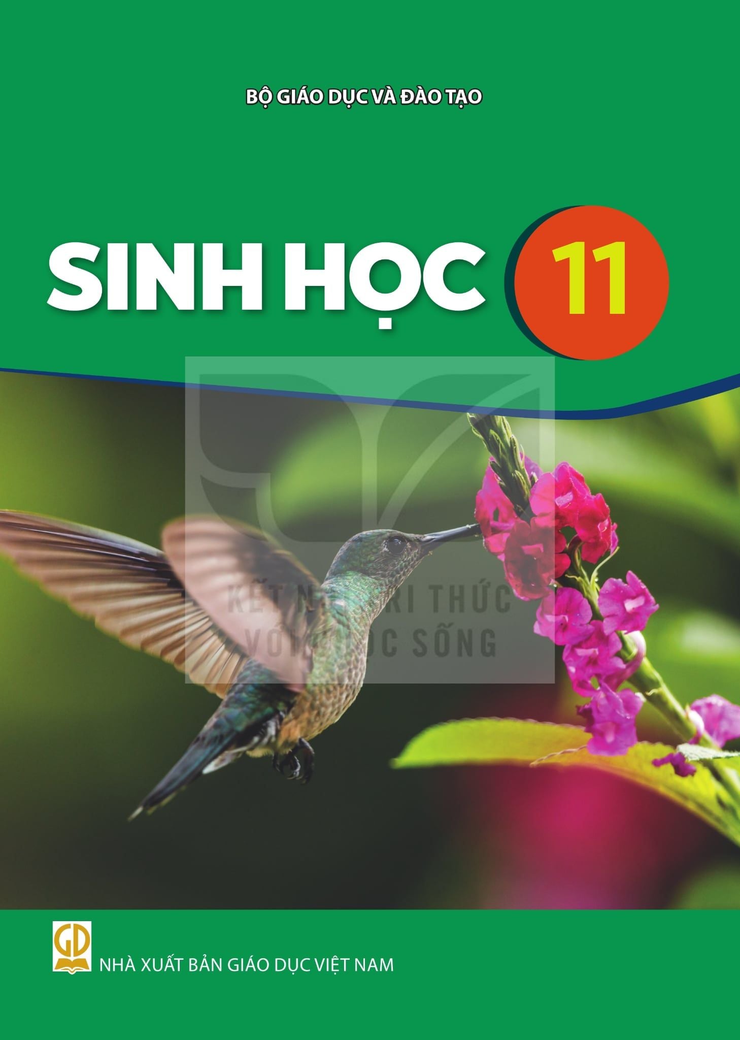  SINH HỌC 11 ( KNTT ) 