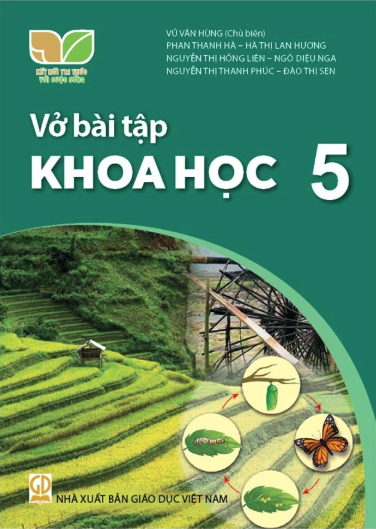  VỞ BÀI TẬP KHOA HỌC 5 ( KẾT NỐI TRI THỨC ) 