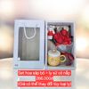  Set Hoa Sáp Bó + Ly Sứ 