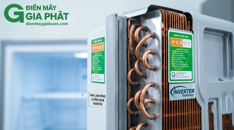 Tủ đông Sanaky có tốt không? Đánh giá công nghệ nổi bật 2026