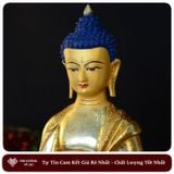  Tượng Phật Dược Sư Mật Tông [Kim Cương Hỷ Lạc] Nepal 33Cm 