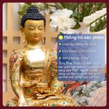  Tượng Phật Thích Ca Đồng Mạ Vàng, Cẩn Đá Thủ Công [Kim Cương Hỷ Lạc] Tượng Thích Ca Nepal Hiếm Có 