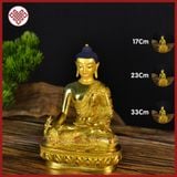  Tượng Phật Dược Sư Mật Tông [Kim Cương Hỷ Lạc] 