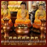  Nến Bơ Thực Vật Không Khói 100 Viên, Nến Xin Xin Hong An Toàn [Kim Cương Hỷ Lạc] 1 - 2 - 4 Giờ 