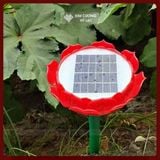  Máy Niệm Phật - Máy Phát Nhạc Ngoài Trời [Kim Cương Hỷ Lạc] Pin Mặt Trời Siêu Bền Mẫu 2024 + Thẻ Nhớ 