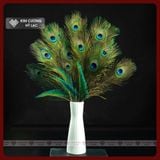  Lông Công Tự Nhiên, Lông Công Phong Thủy [Kim Cương Hỷ Lạc] Nhiều Kích Thước Cầu Tài Lộc 