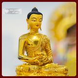  Tượng Phật A Di Đà Mật Tông [Kim Cương Hỷ Lạc] 