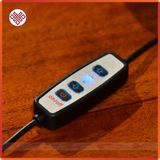  Kệ Đèn Hào Quang Led [Kim Cương Hỷ Lạc] Trang Trí Tượng Phật, Tiêu Cảnh 