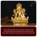  Tượng Phật Tara Trắng Mật Tông [Kim Cương Hỷ Lạc] 33Cm Nepal 