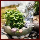  Tượng Phật An Nhiên Áo Rêu [Kim Cương Hỷ Lạc] Decor Trang Trí Nhà Cửa Sân Vườn Có Bể 