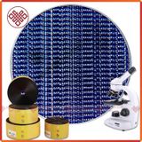  Chú Mật Tông [Kim Cương Hỷ Lạc] Microfilm Các Loại 