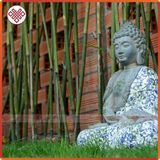  Tượng Phật Thích Ca Thiền Định [Kim Cương Hỷ Lạc] Trang Trí Decor Sân Vườn 