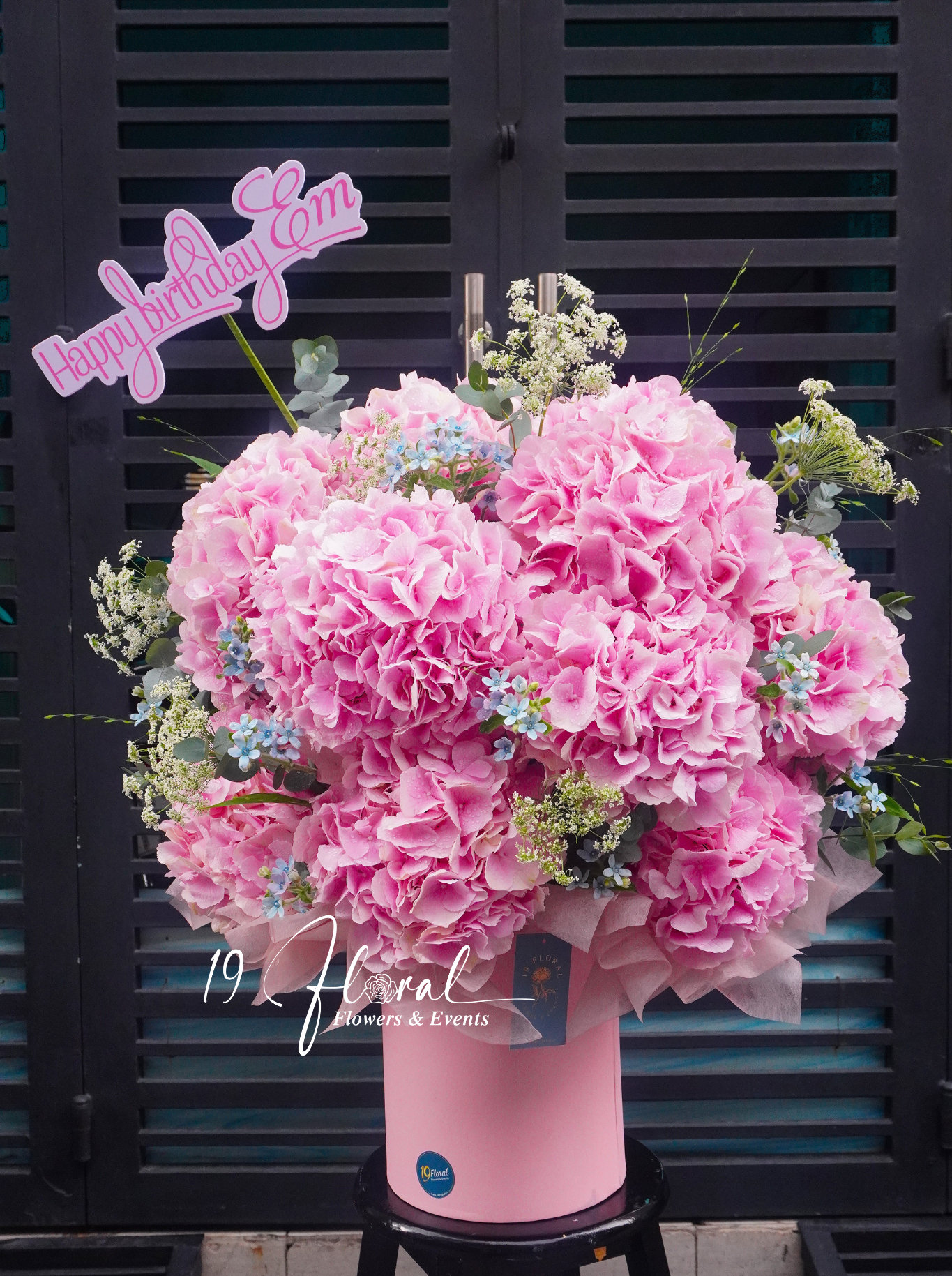 Hộp Hoa cẩm tú cầu Hà Lan - Cheerful Spring
