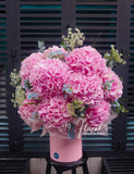Hộp Hoa cẩm tú cầu Hà Lan - Cheerful Spring