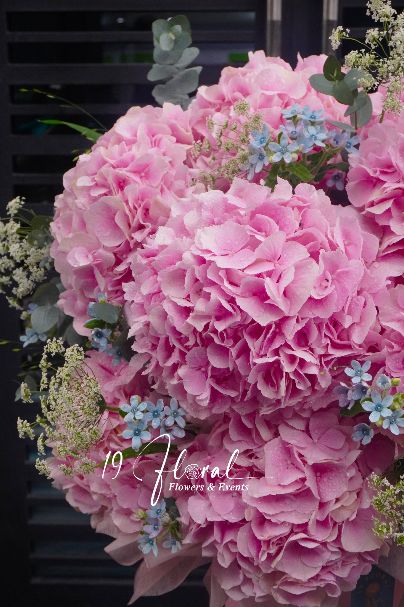 Hộp Hoa cẩm tú cầu Hà Lan - Cheerful Spring
