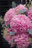 Hộp Hoa cẩm tú cầu Hà Lan - Cheerful Spring