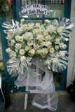 Kệ hoa chia buồn - White Grace