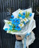 Bó hoa tulip Nhuộm mix màu