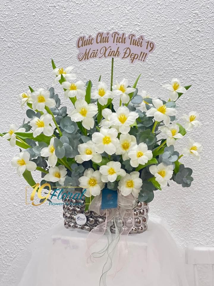 Chậu hoa tulip -Whispers of Tulip