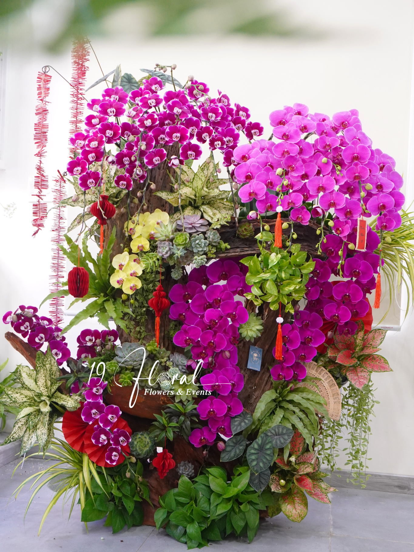 Lũa Lan hồ điệp - Phú Qúy Cát Tường