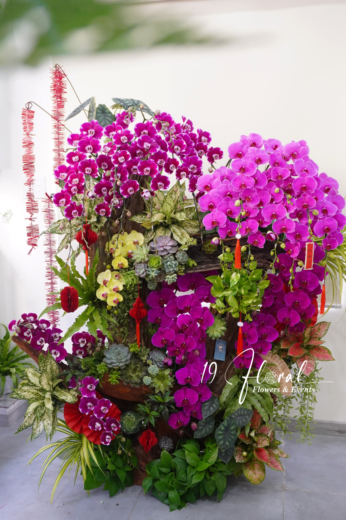 Lũa Lan hồ điệp - Phú Qúy Cát Tường
