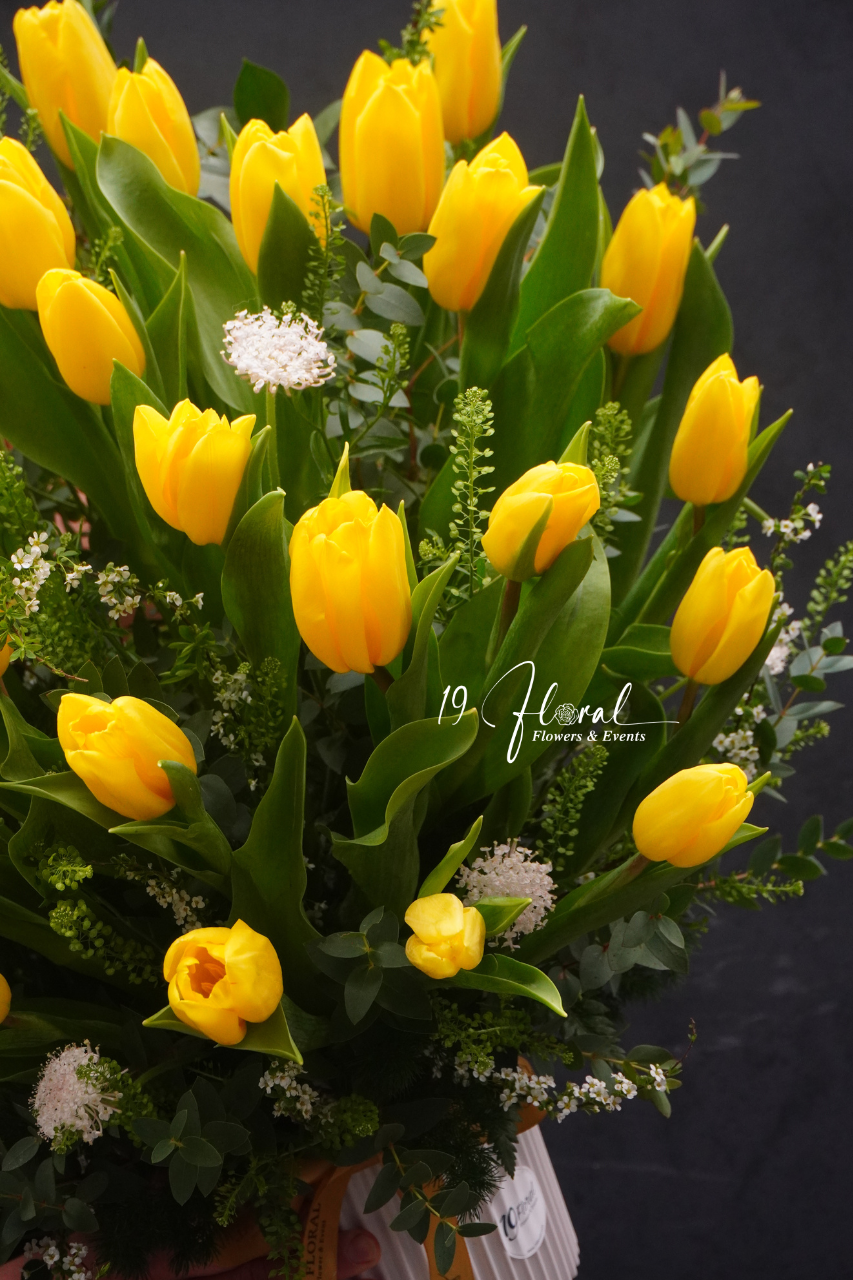 Chậu tulip vàng - Strong Gold