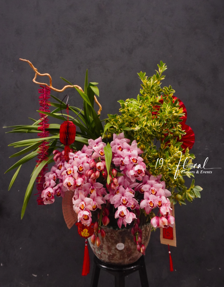 Chậu quất cẩm thạch mix địa lan Hồng Phúc Tinh