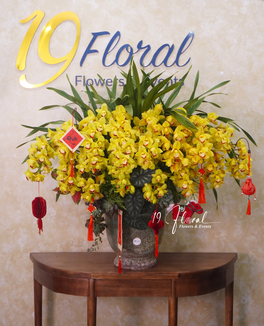 Chậu địa lan vàng - Thành Công Rực Rỡ