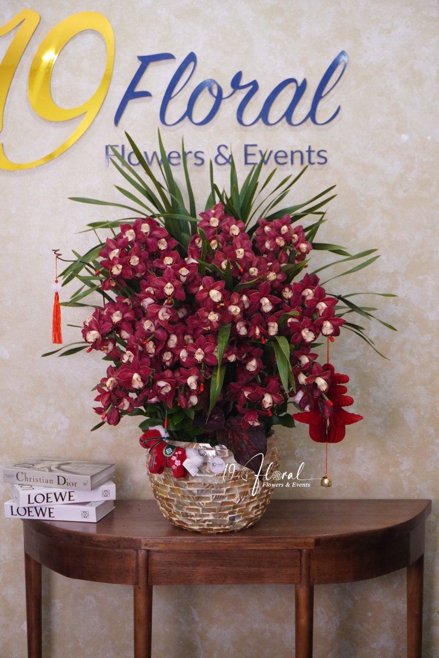 Chậu địa lan đỏ - Vinh Hoa Phú Quý