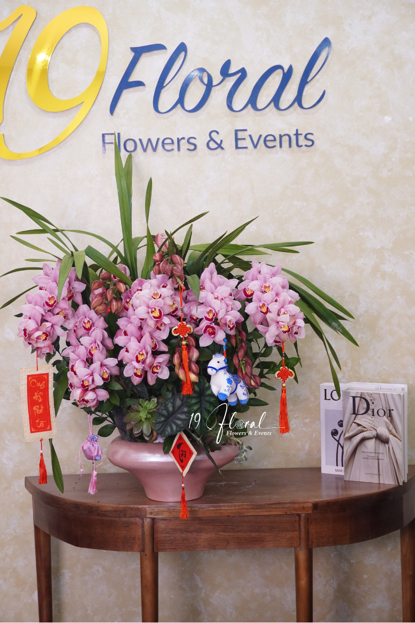 Chậu địa lan Hồng  - An Nhiên Đón Xuân