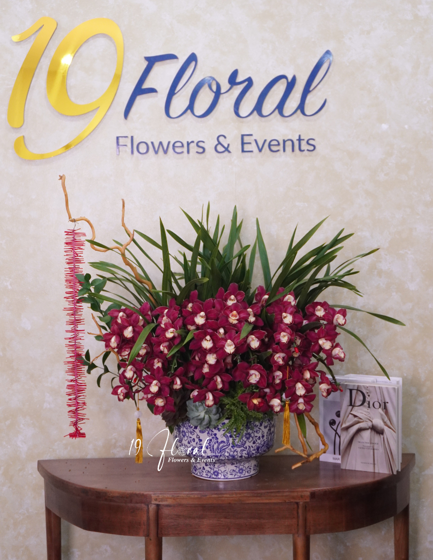 Chậu địa lan đỏ - Vạn Sự Cát Tường