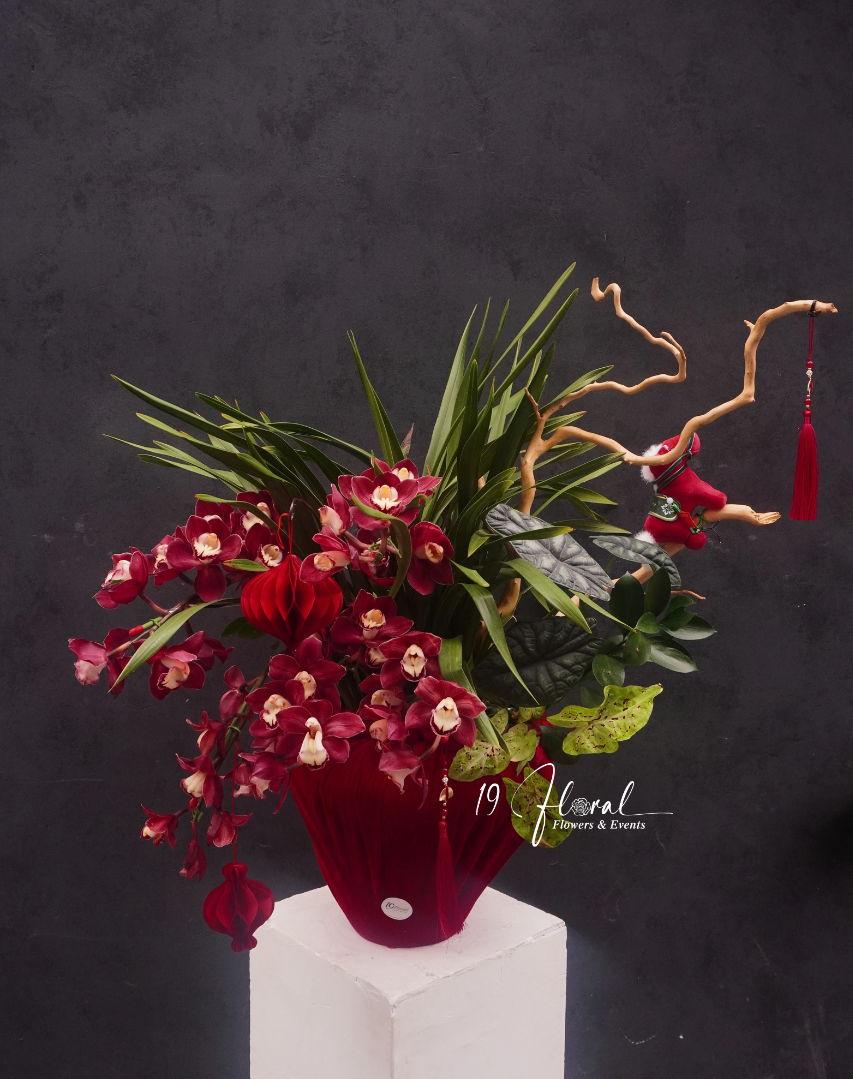 Chậu địa lan đỏ - Tấn Tài Tấn Lộc