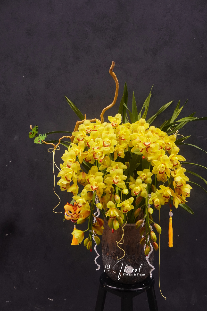 Chậu địa lan vàng - Vàng Son Phú Quý