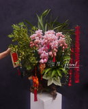 Lũa gỗ Địa lan hồng - Địa Lan Vượng Khí