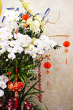Chậu Lan hồ điệp - Ngọc Điệp Cát Tường
