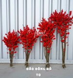Đào đông đỏ TQ size 80cm