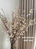 Đào Sakura nhật bản size 120cm