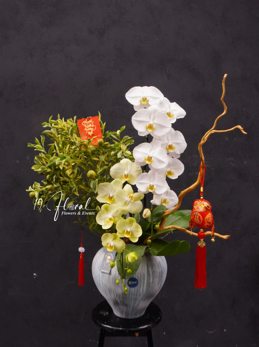 Chậu quất cẩm thạch mix hồ điệp