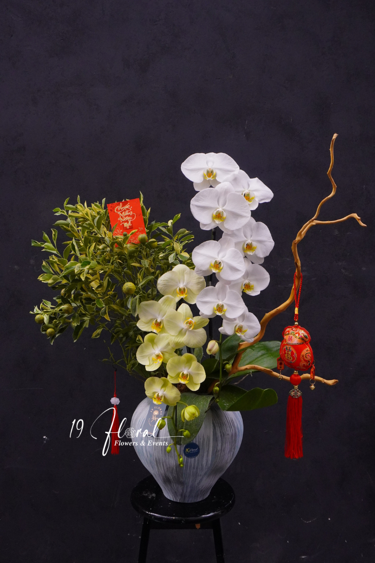 Chậu quất cẩm thạch mix hồ điệp