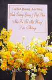 Kệ Hoa Chúc Mừng - Sunny Pearl