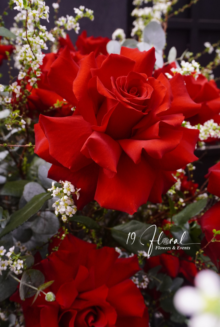 Bình hoa Luxury - Ruby Grace