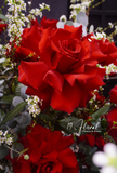 Bình hoa Luxury - Ruby Grace