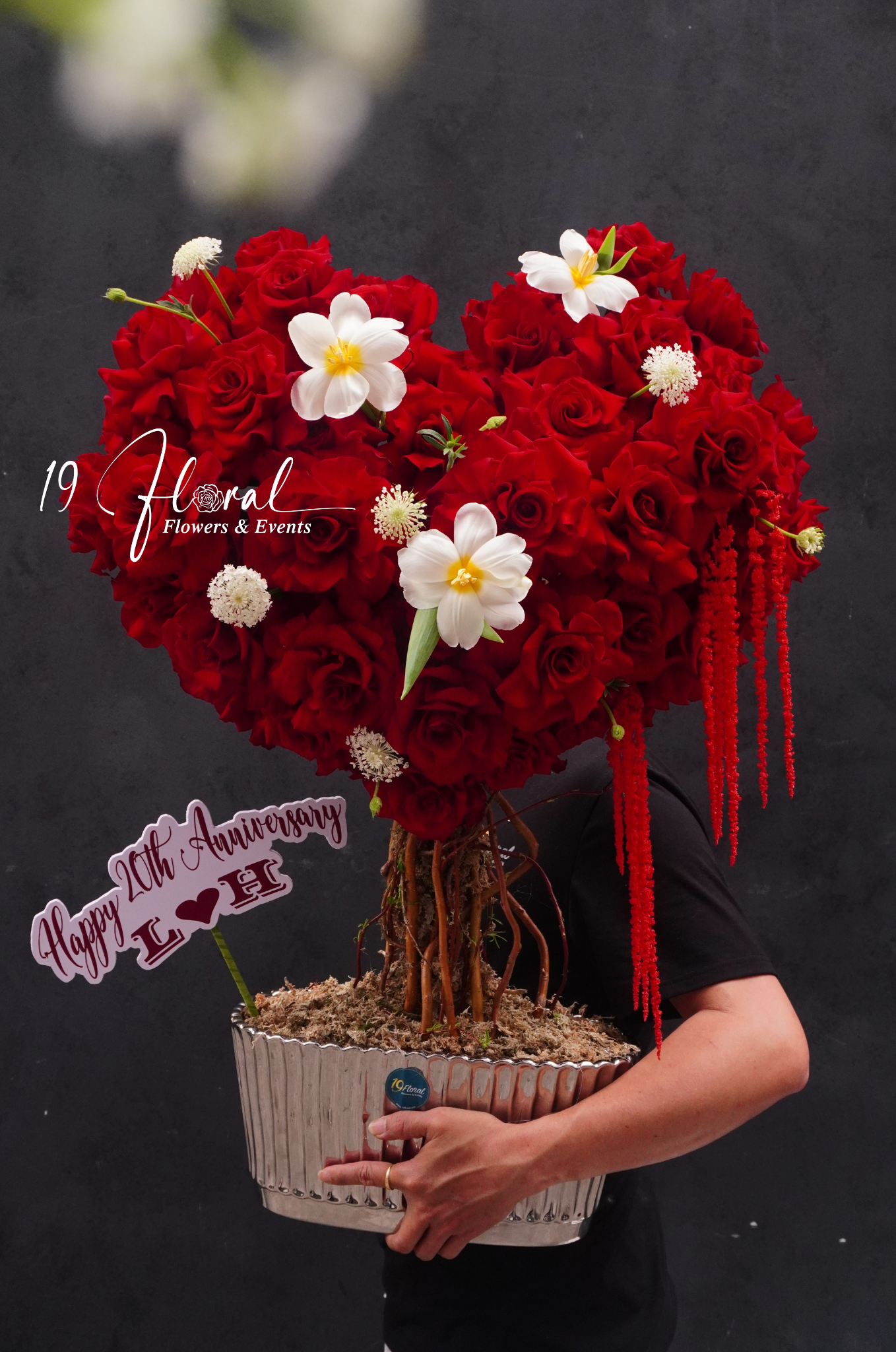 Cây hoa trái tim Happy Roses  - size lớn