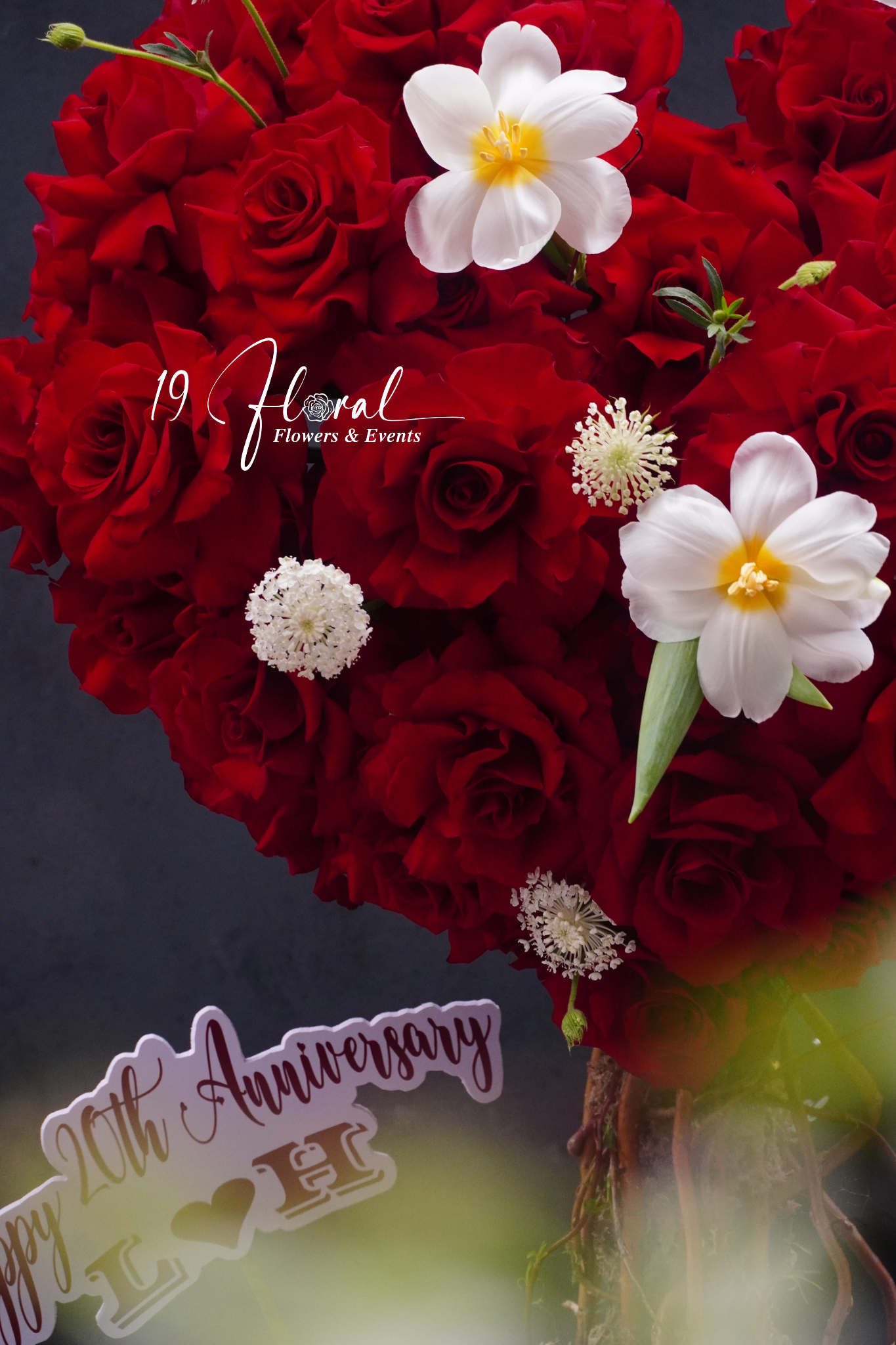 Cây hoa trái tim Happy Roses  - size lớn